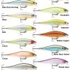 Rapala Shadow Rap Shad